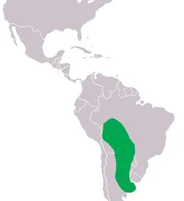Yacares