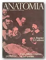 anatomia