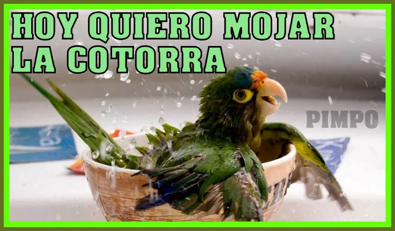 frases de la vida