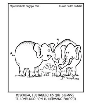 Humor opuesto: La mejor recopilación memes WTF de este dia