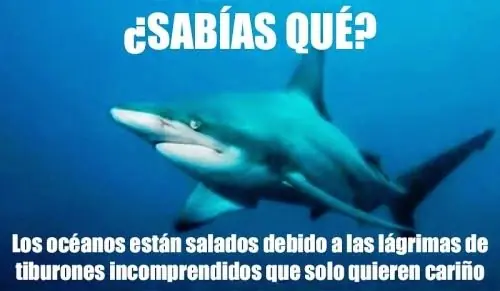Humor satánico: Si te ríes te iras al infierno !Entra y ríe¡