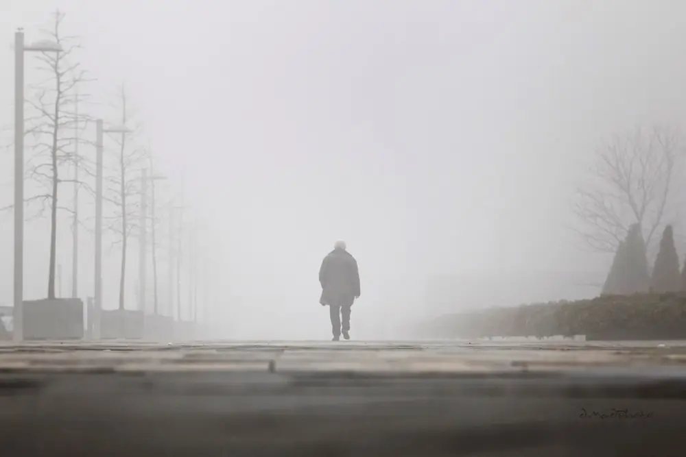 Consejos Para una Impresionante Fotografía de Niebla