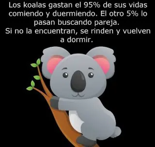 Humor opuesto: La mejor recopilación memes wtf de este dia