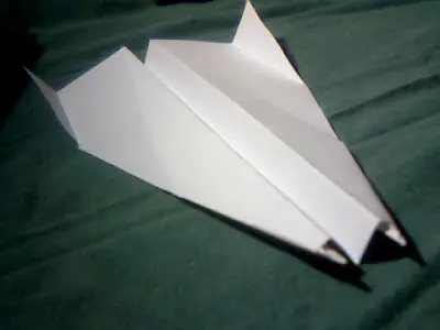wing