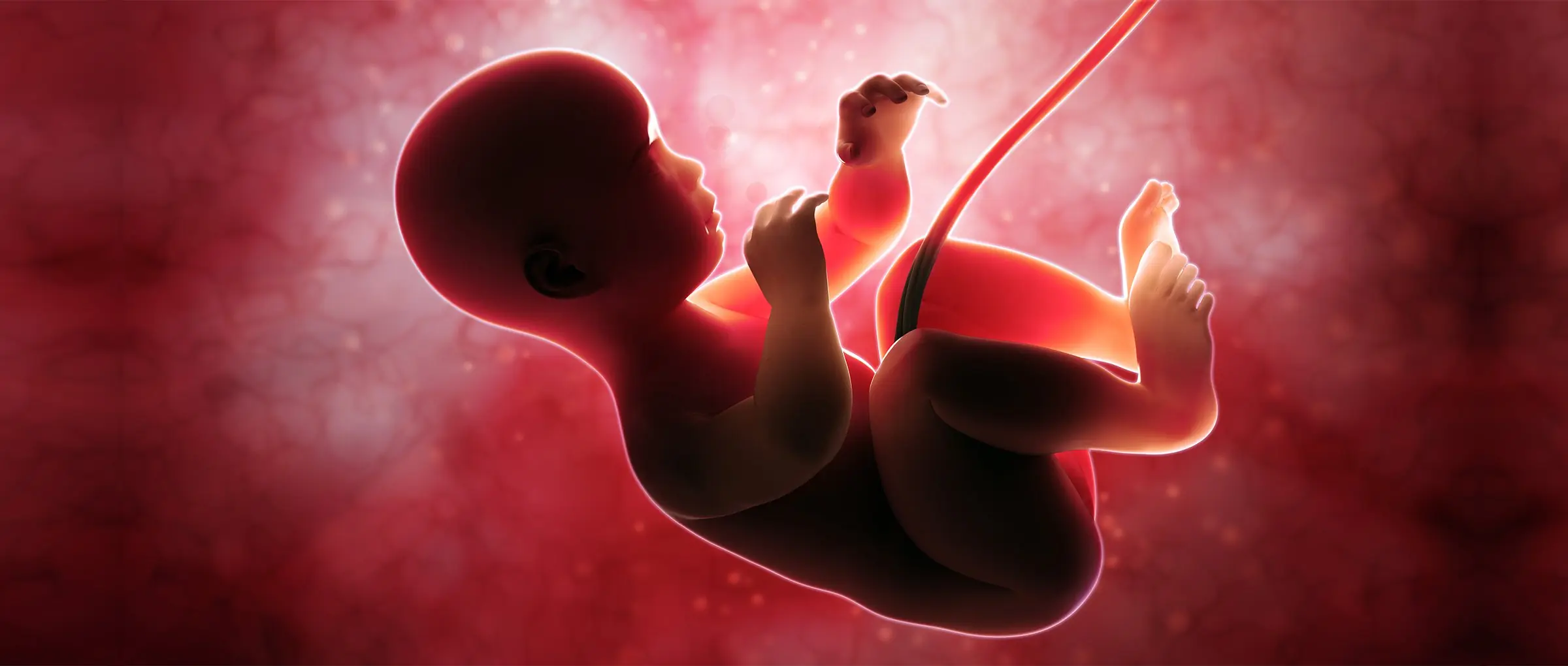 Aborto legal pero no gratuito