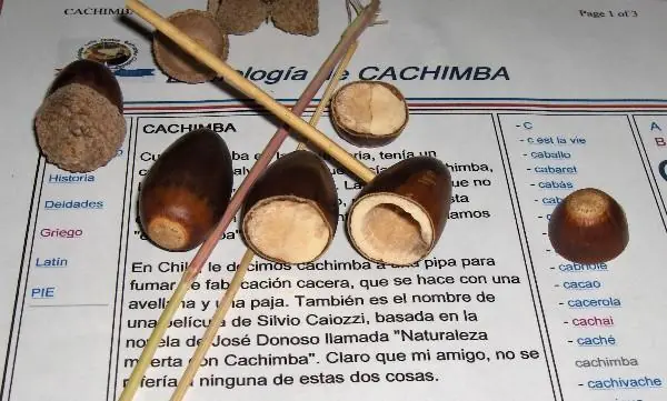 dos o tres formas de hacer pipa casera y un texto