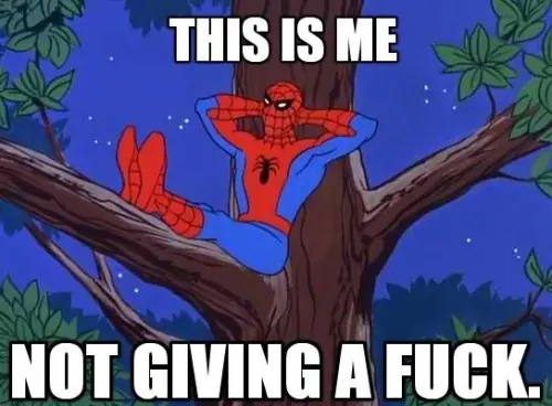 spider