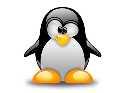 Como instalar Linux – consejos y conceptos