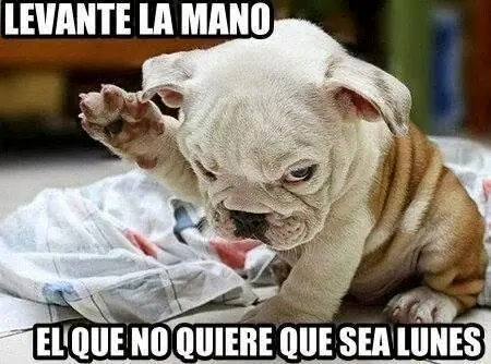 Reir