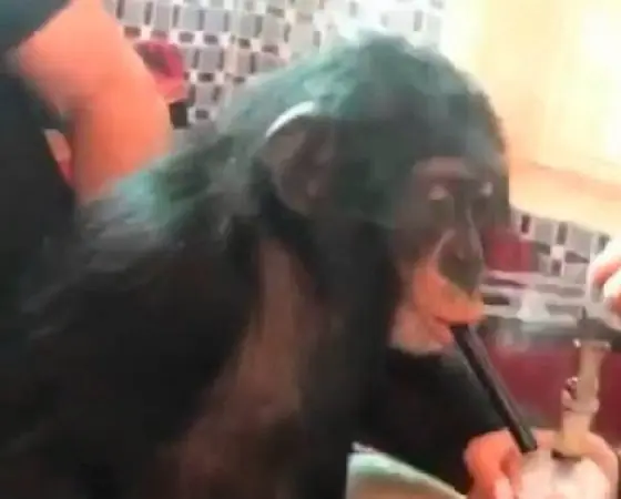 famoso
