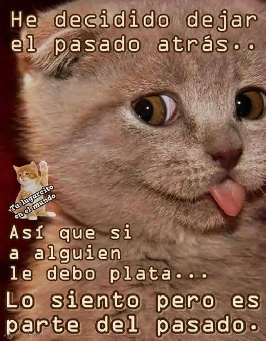 gustaria