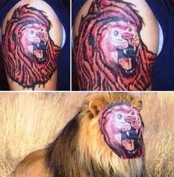 WTF