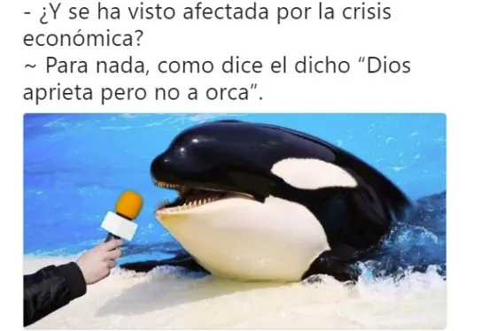 humor