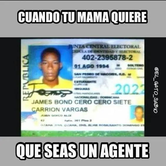 Memes