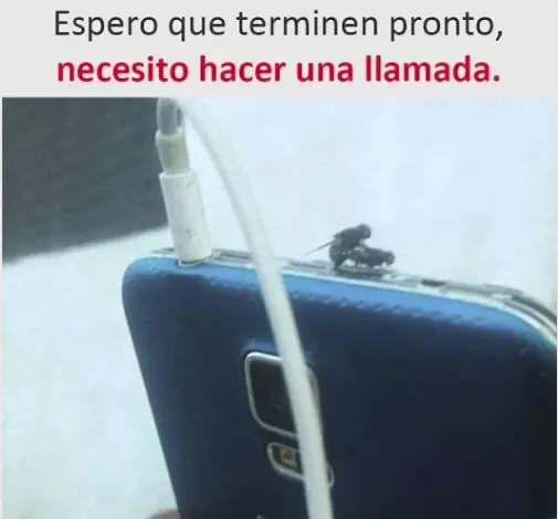 gustaria