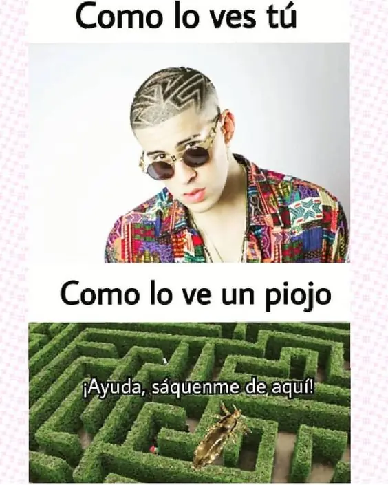 Especiales