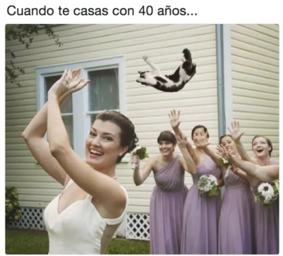 Humor apretado. Te encantara verlo!