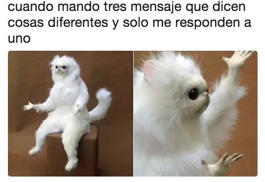 encantara