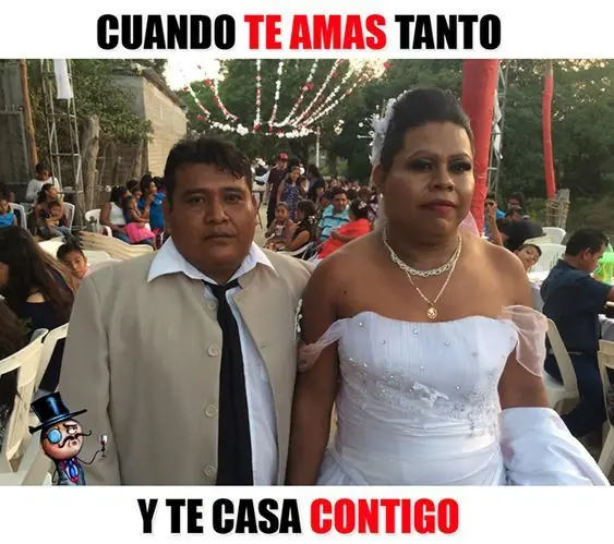 Memes