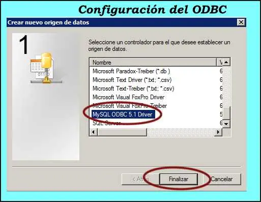 visual basic