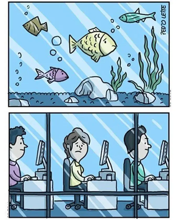 El humor gráfico como lenguaje universal [XVI]