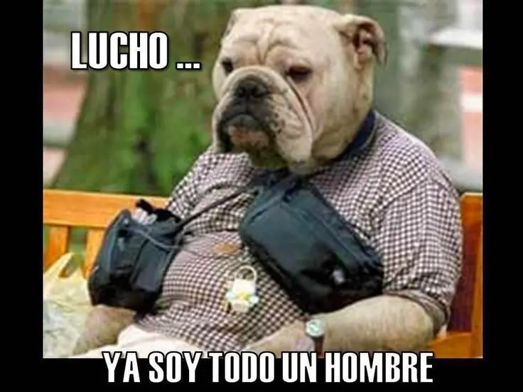 Humor apolítico: Memes WTF para esta mañana mundialista