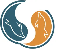 Tutorial para poder utilizar MySQL