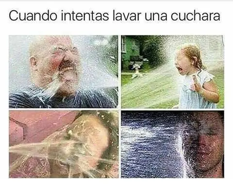fotos