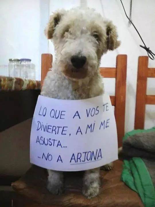 frases frases