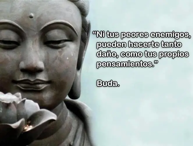 autoayuda autoayuda