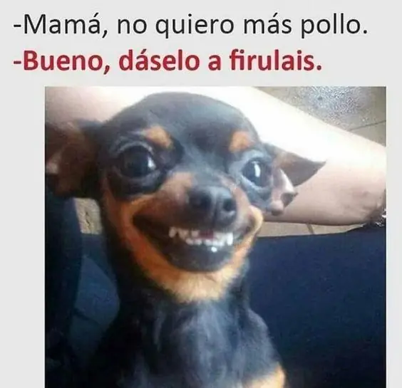 Humor madrugador especial para soltar esas risas repiolas