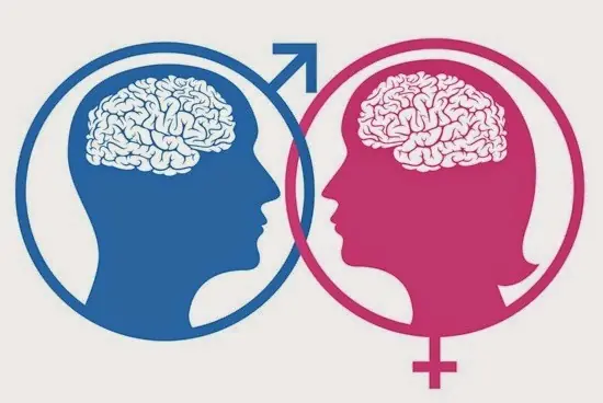 La relación entre hombres y mujeres por fin explicada