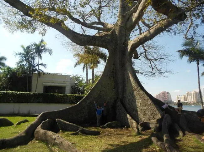 29 Fotos de personas que visitaron el país de los gigantes