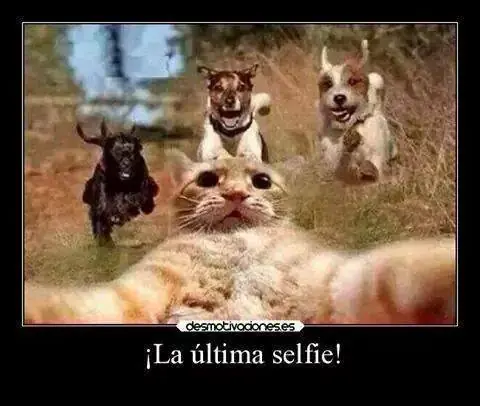 imagenes