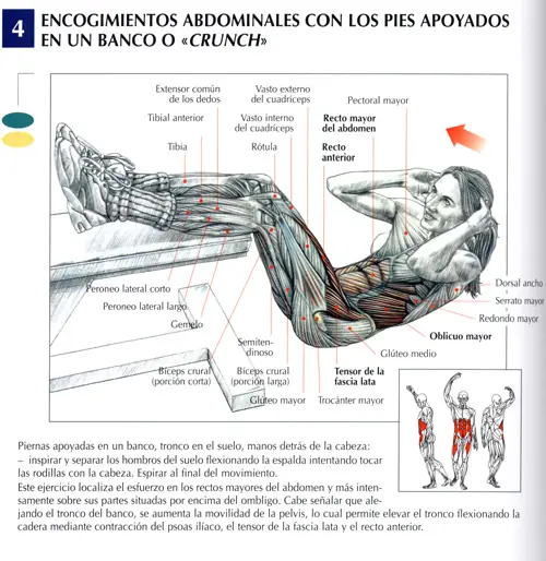 deportes