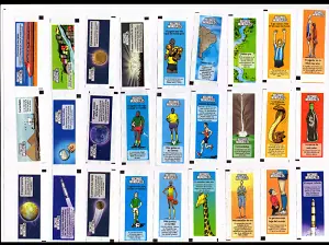 abejas