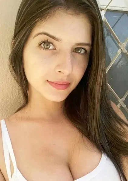 sur de brasil