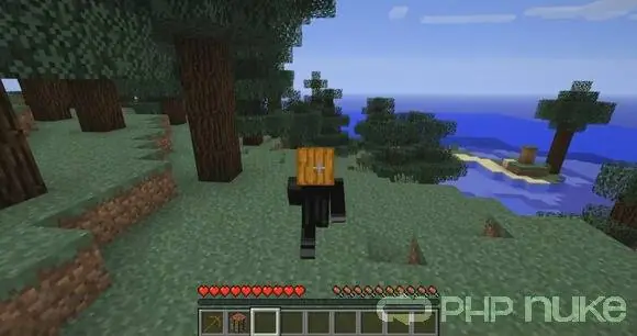 minecraft minecraft