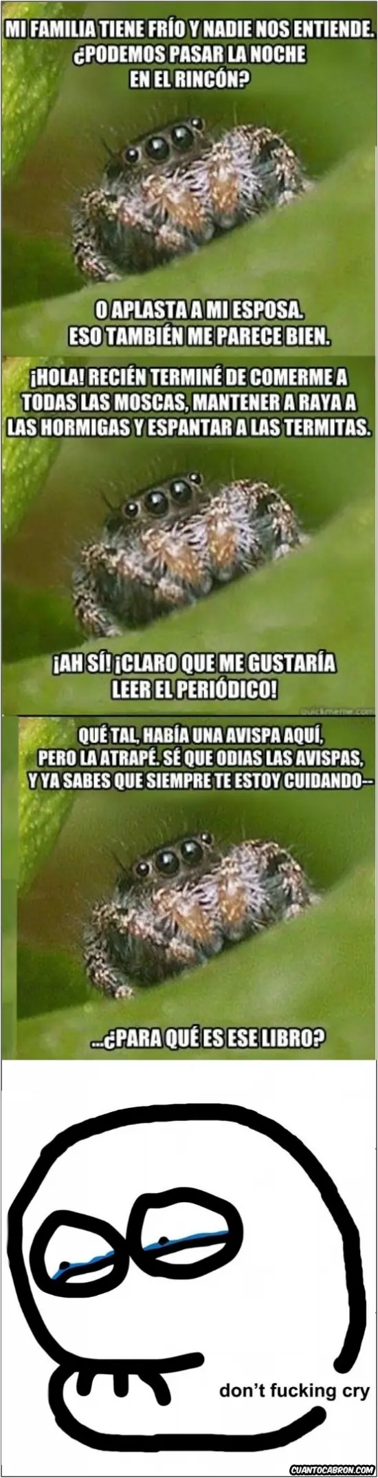 promedio