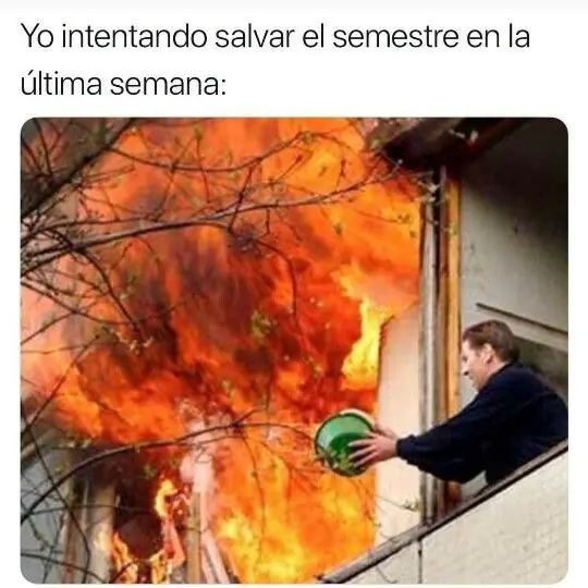 madrugador