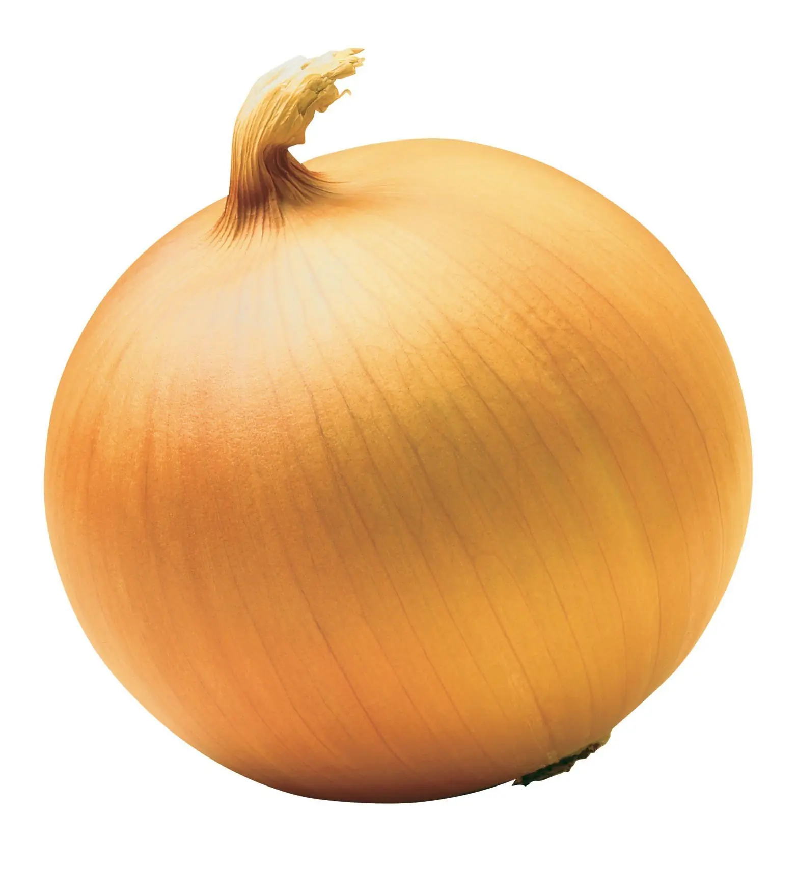 saludables saludables