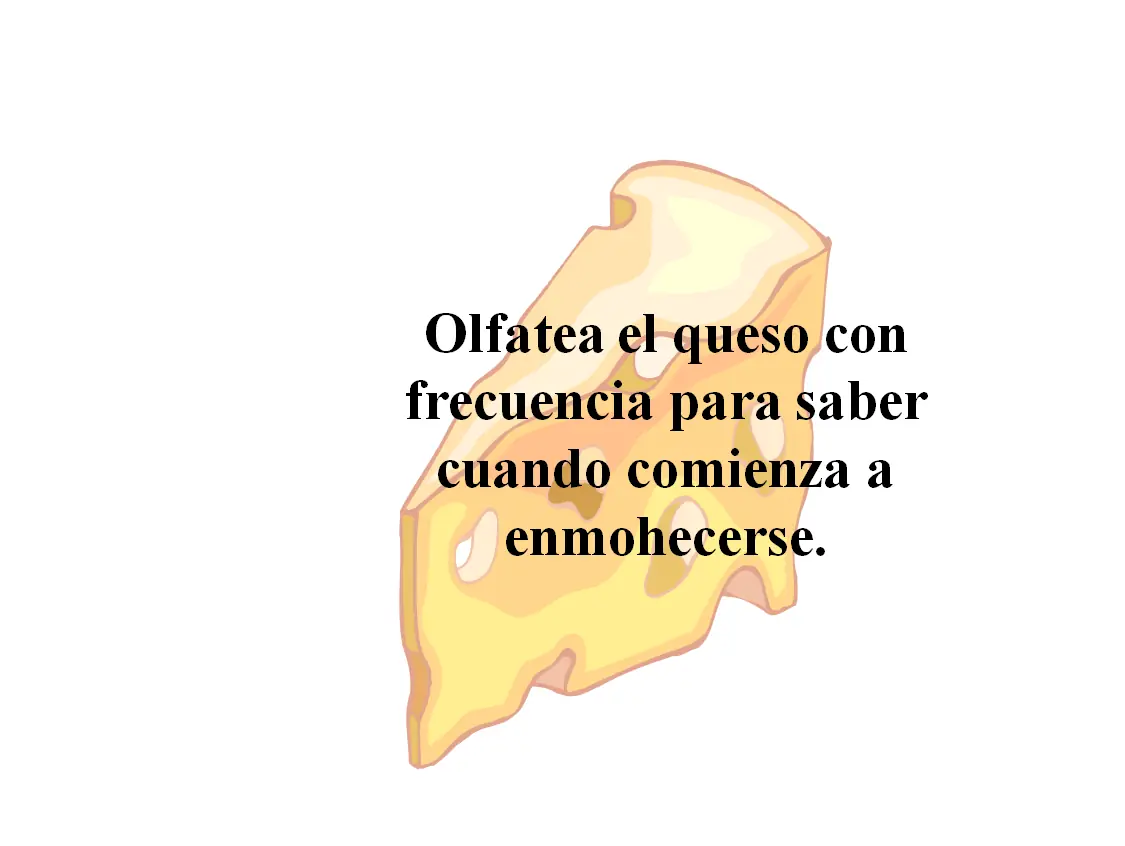 ¿quien se ha llevado mi queso? un libro que debes leer