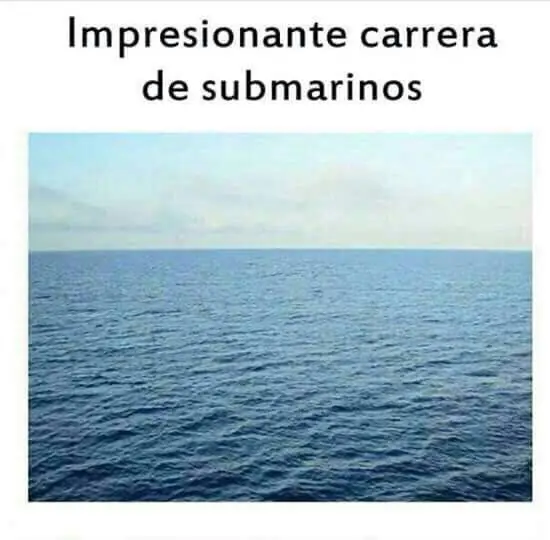 excelente