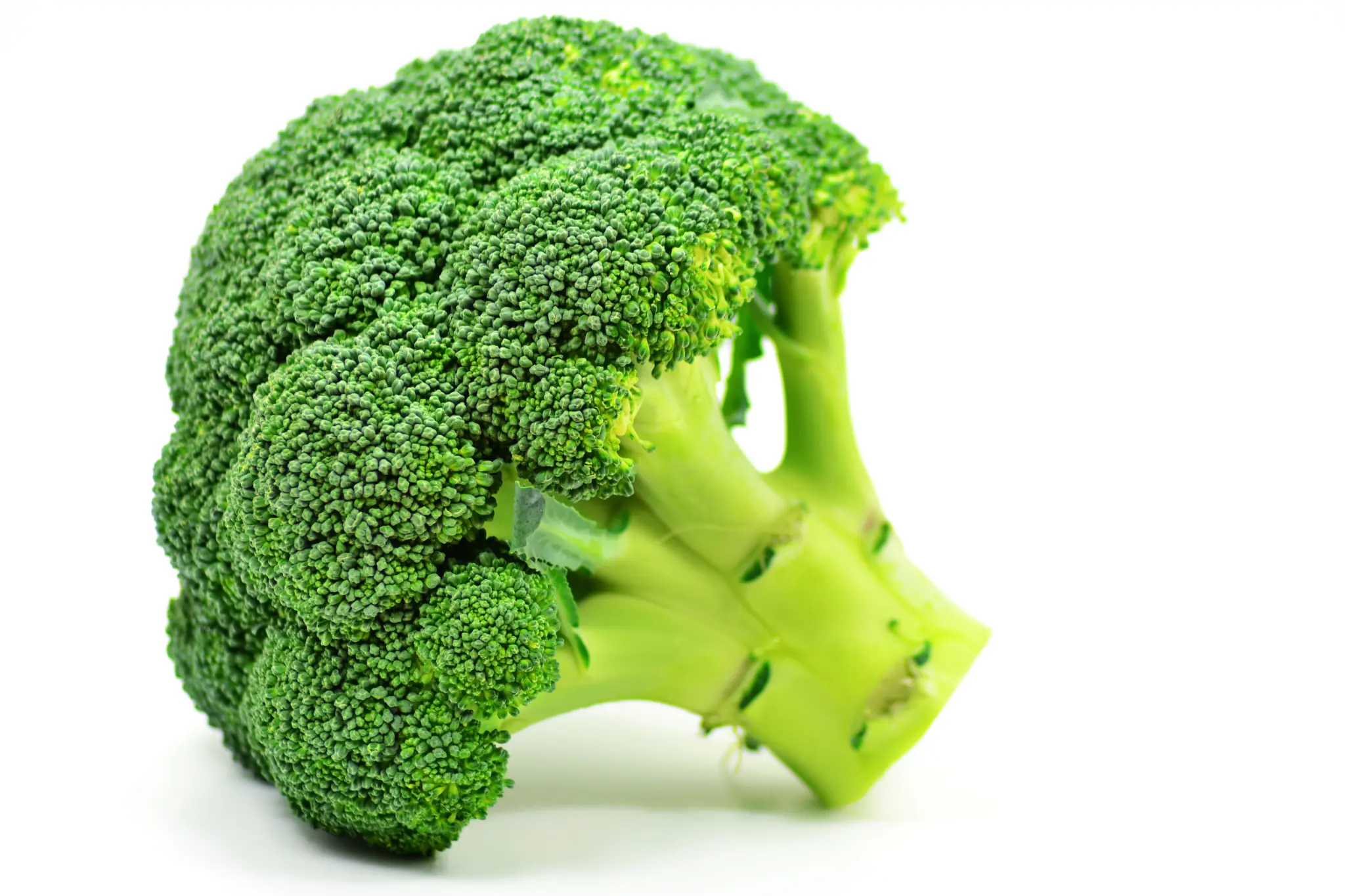 Ranking de los 10 alimentos más deliciosos y saludables Ranking de los 10 alimentos más deliciosos y saludables