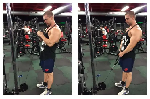 rutina de gimnasio