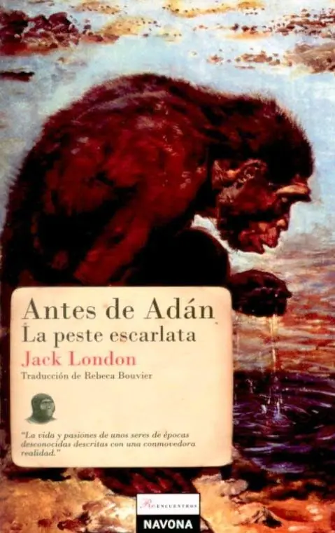 Paginas Paginas