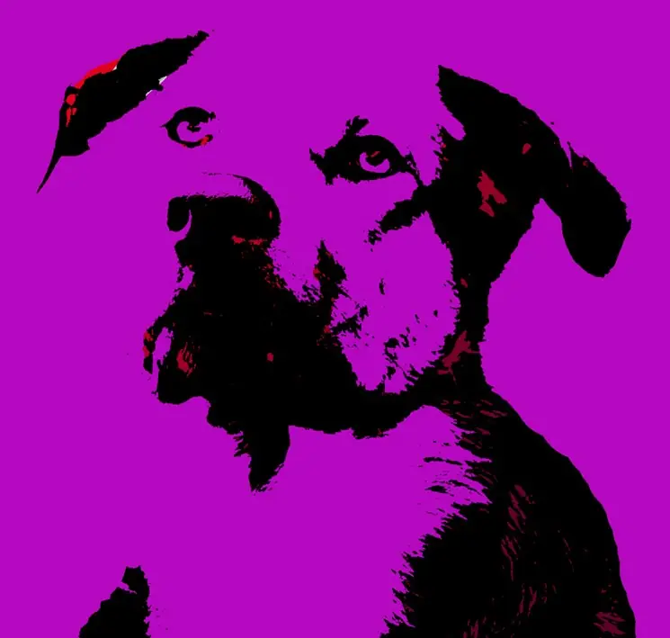 art