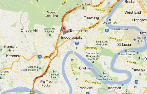 taringa taringa