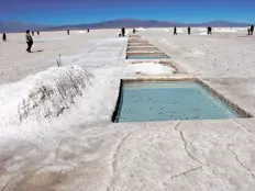 Puna argentina