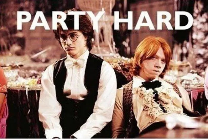party hard party hard